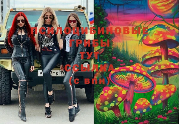 метадон Армянск