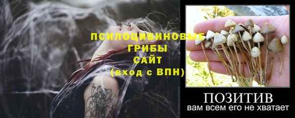 метадон Армянск